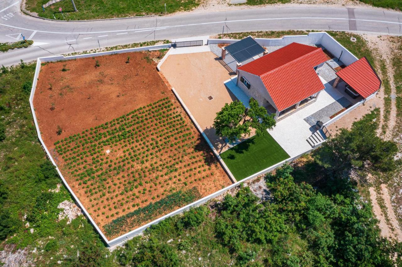 Holiday Home Figurica Novigrad  Exterior photo